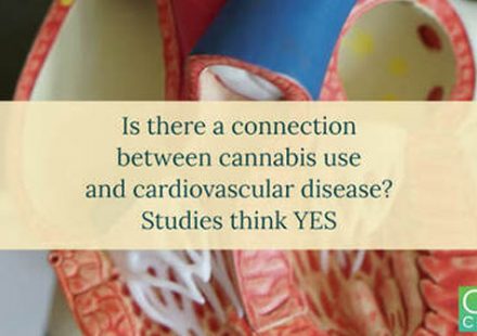 Cannabis Use in Patients With Heart Disease