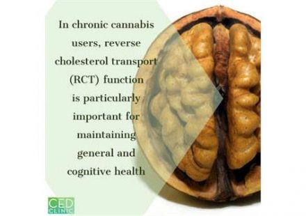 In chronic cannabis users reverse cholesterol transport function is particularly important for maintaining general and cognitive health