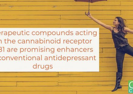 Mediation of the cannabinoid receptor type 1 can enhance the antidepressant powers of conventional therapy