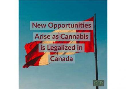 New Opportunities Arise as Cannabis is Legalized in Canada