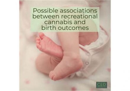 Possible Associations Between Recreational Cannabis and Birth Outcomes