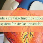 Targeting the endocannabinoid system for stroke prevention