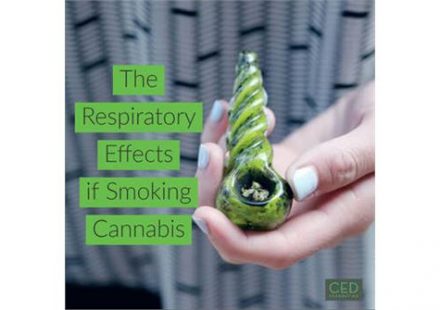 The Respiratory Effects of Smoking Cannabis