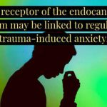 The endocannabinoid receptor CB2 is a regulator of trauma inducing anxiety and a potential target for PTSD drugs