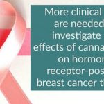 Urgent need for clinical trials investigating the effects of cannabinoids on hormone receptor positive breast cancer therapy