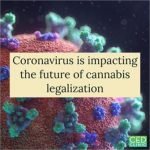 Will the Coronavirus force states to legalize marijuana