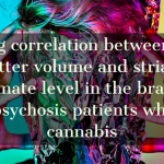 Strong correlation between grey matter volume and striatal glutamate level in the brains of early psychosis patients who used cannabis