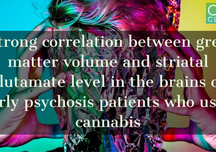 Strong correlation between grey matter volume and striatal glutamate level in the brains of early psychosis patients who used cannabis