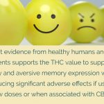 A promising cure for PTSD Cannabis based medicine suppresses aversive memory and eases anxiety