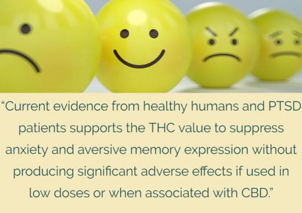 A promising cure for PTSD Cannabis based medicine suppresses aversive memory and eases anxiety