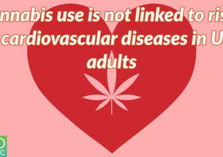 Association Between Marijuana Use and Cardiovascular Disease in US Adults