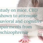 Cannabidiol Attenuation of behavioral and cognitive schizophrenia symptoms leads to potential clinical applications