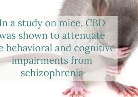 Cannabidiol Attenuation of behavioral and cognitive schizophrenia symptoms leads to potential clinical applications
