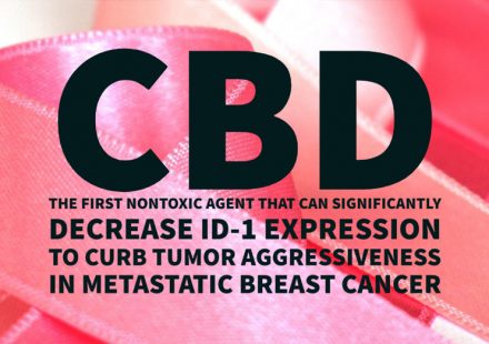 Cannabidiol as a novel inhibitor of Id 1 gene expression in aggressive breast cancer cells