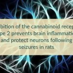 Inverse Agonism of Cannabinoid Receptor Type 2 Confers Anti inflammatory and Neuroprotective Effects Following Status Epileptics