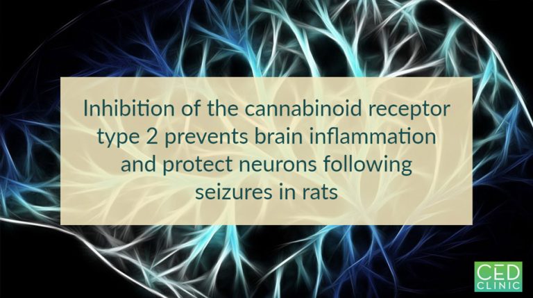 Cannabinoid Receptor Type 2 Anti-Inflammatory Effects in SE