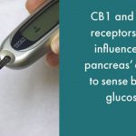 Targeting the cannabinoid receptors to regulate blood glucose level and body weight