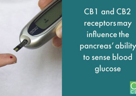 Targeting the cannabinoid receptors to regulate blood glucose level and body weight