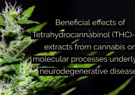 Tetrahydrocannabinol Rich Extracts From Cannabis Sativa L. Improve Glucose Consumption and Modulate Metabolic Complications Linked to Neurodegenerative Diseases