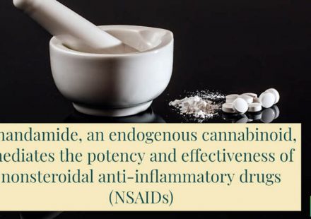 The endocannabinoid system mediates the enhanced analgesia and GI safety advantage of a newly developed NSAID derivative