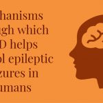 The proposed mechanisms of action of CBD in epilepsy