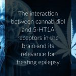 Cannabidiol Acts at 5 HT1A Receptors in the Human Brain Relevance for Treating Temporal Lobe Epilepsy