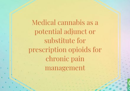A Survey on the Effect That Medical Cannabis Has on Prescription Opioid Medication Usage for the Treatment of Chronic Pain at Three Medical Cannabis Patients