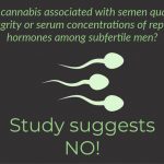 Marijuana smoking and markers of testicular function among men from a fertility center