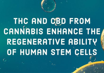 Role of cannabis components on the regenerative ability of stem cells