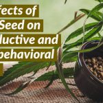 The Effects of Cannabis sativa L. Seed Hemp Seed on Reproductive and Neurobehavioral End Points in Rats