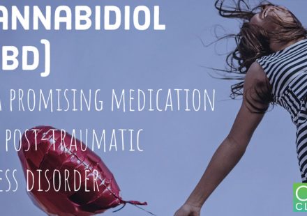 Cannabidiol as a Therapeutic Alternative for Post traumatic Stress Disorder From Bench Research to Confirmation in Human Trials