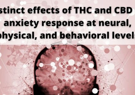 Distinct Effects of 9 Tetrahydrocannabinol and Cannabidiol on Neural Activation During Emotional Processing