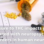 THC exposure of human iPSC neurons impacts genes associated with neuropsychiatric disorders