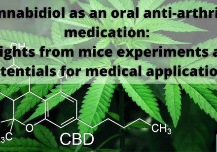 The non psychoactive cannabis constituent cannabidiol is an oral anti arthritic therapeutic in murine collagen induced arthritis