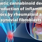 The synthetic cannabinoid WIN55212 2 mesylate decreases the production of inflammatory mediators in rheumatoid arthritis synovial fibroblasts by acti