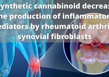 The synthetic cannabinoid WIN55212 2 mesylate decreases the production of inflammatory mediators in rheumatoid arthritis synovial fibroblasts by acti