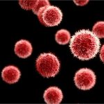 Testing Essential Oils of Industrial Hemp Against Bacteria