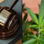 marijuana legislation bill leaf gavel 1000x600 fG6ULE
