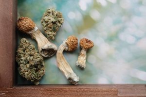 California Gov. Gavin Newsom To Review 17 Cannabis, Psychedelics Bills