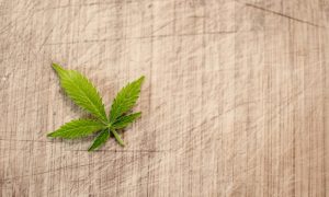 Alabama Regulators Award Medical Marijuana Business Licenses—For Third Time