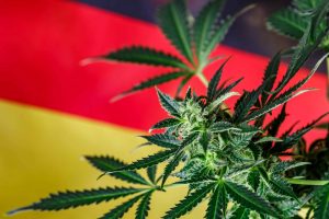 Germany Eyes April 2024 for Cannabis Legalization