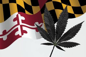 Maryland Marijuana Sales Near $800 Million in Six Months