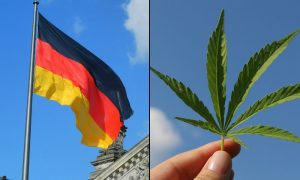 Key German Committee Approves Marijuana Legalization Bill Ahead Of Floor Vote, But Questions Emerge On Implementation Timeline