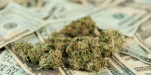 269 Michigan municipalities to split $87.1M in cannabis tax revenue
