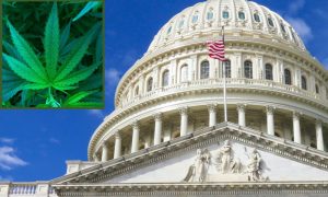 Congressional Leaders Again Seek To Block D.C. Marijuana Sales, While Funding Psychedelic Studies, In New Spending Bill