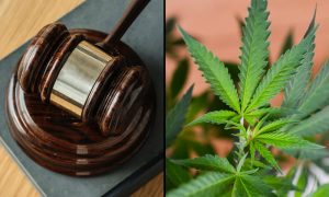 Virginia Bill To Prevent Marijuana From Being Used As Evidence Of Child Abuse Heads To Governor’s Desk