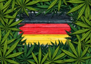 Germany Approves Cannabis Reform Plan: Possession Legal April 1