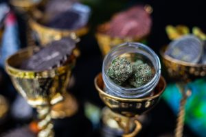 Announcing the High Times Cannabis Cup Michigan 2024