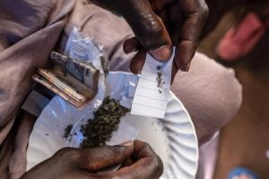 Drug Mixture Called ‘Kush’ in Sierra Leone Sometimes Contains Ground-Up Human Bones, Reports Say