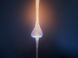Neural synapse illustrating the biphasic effects of cannabis